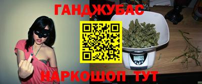 индика Славгород