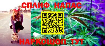 индика Славгород