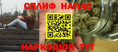 индика Славгород