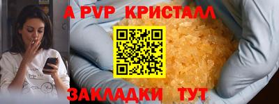 индика Славгород