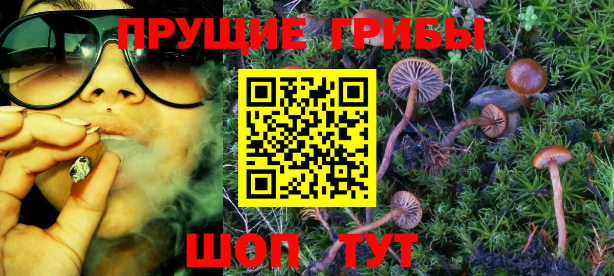 Галлюциногенные грибы MAGIC MUSHROOMS Сердобск